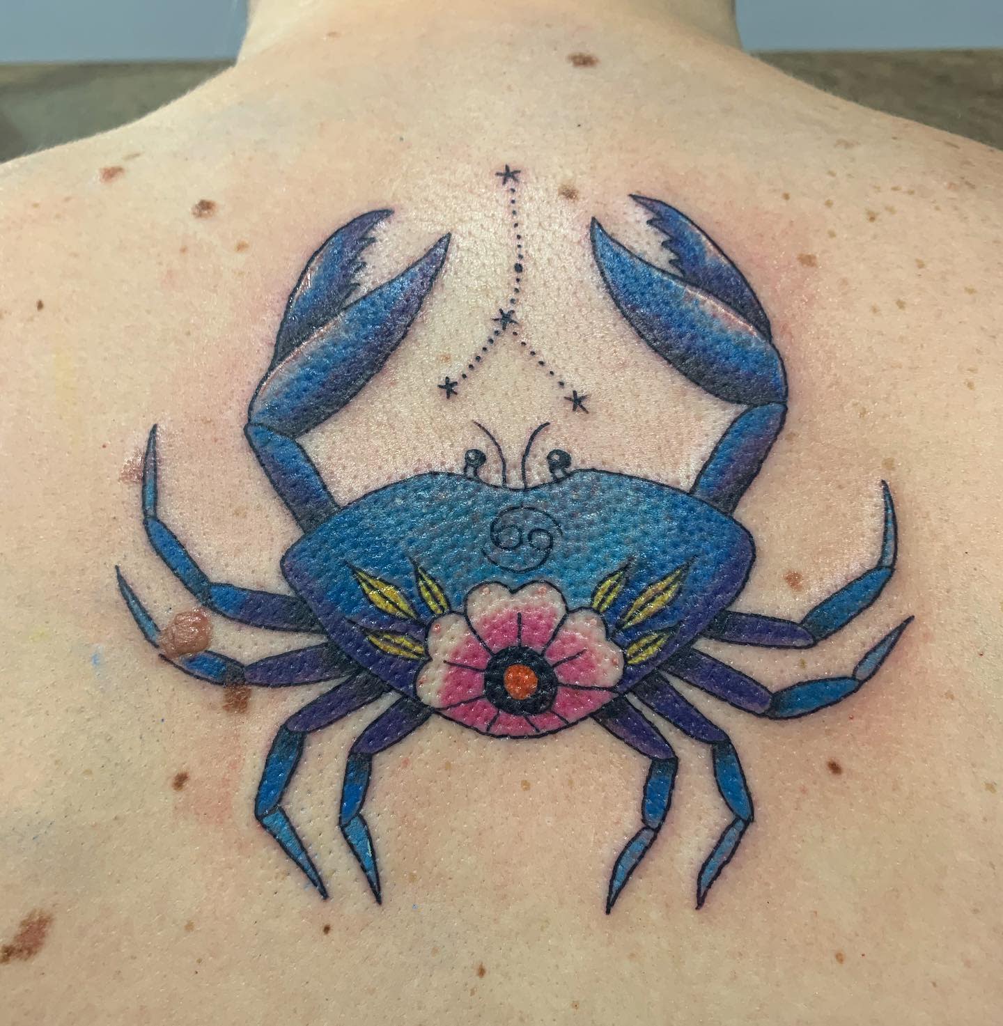 A blue cancer tattoo with flowers and a Cancer constellation on the upper back